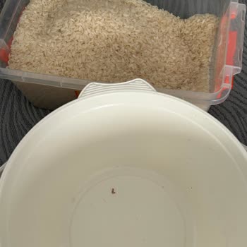BİM Markette Satın Aldığım Baldo Pirinçte Kurtlar: Sağlık Endişesi