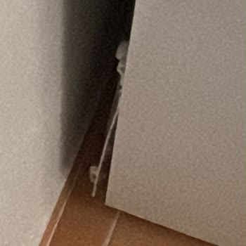 Beko Derin Dondurucu Defolu, Servis Çözüm Sunamıyor Ve Erzaklar Bozuldu