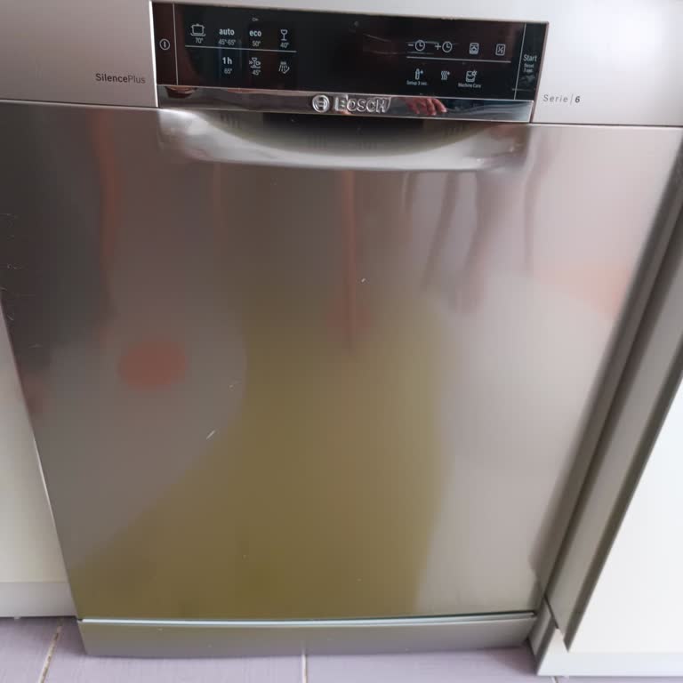 Bosch Bulaşık Makinesindeki Sürekli Arıza Ve Aşırı Tamir Ücretlerine Karşı Tüketici Şikayeti