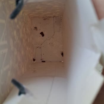 Kahve Dünyası Çikolatasında Kurtlar Ve Kelebekler Görüldü