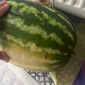 Seçtiğim Ürünler Yerine Ucuz Alternatif Gönderildi Ve Çürük Karpuz Teslim Edildi