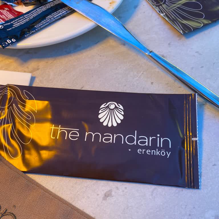 The Mandarin Restaurant Yemeğimizi Hiç İstekli Ve Keyifle Yiyemedik