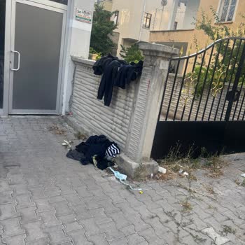 Konteyner Dışına Çöpler Ve Kötü Koku İçin Belediye Denetimi Gerekiyor