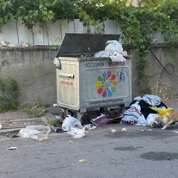 Konteyner Dışına Çöpler Ve Kötü Koku İçin Belediye Denetimi Gerekiyor