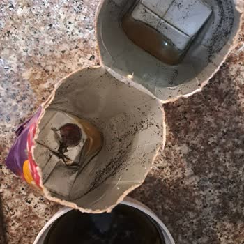 Küflü Meyve Suyu Ürünü Sağlık Riskine Neden Oluyor