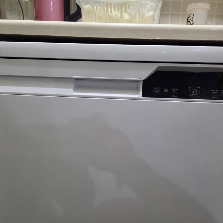 Arızalı Bulaşık Makinesi Ve Randevu İhlali Nedeniyle Yaşanan Mağduriyet