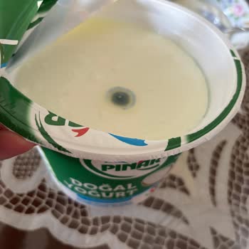 Pınar Yoğurt Küflü Çıktı