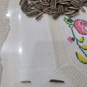Canlı Kurt Çıkan Çerezde Sağlık Endişesi Ve İade Talebi