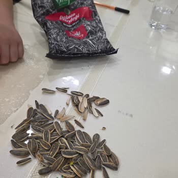 Canlı Kurt Çıkan Çerezde Sağlık Endişesi Ve İade Talebi