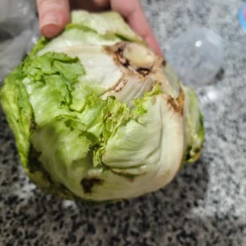 Hamile Kadının Sağlığını Tehlikeye Atan Çürük Sebze Gönderimi