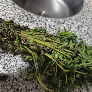 Hamile Kadının Sağlığını Tehlikeye Atan Çürük Sebze Gönderimi