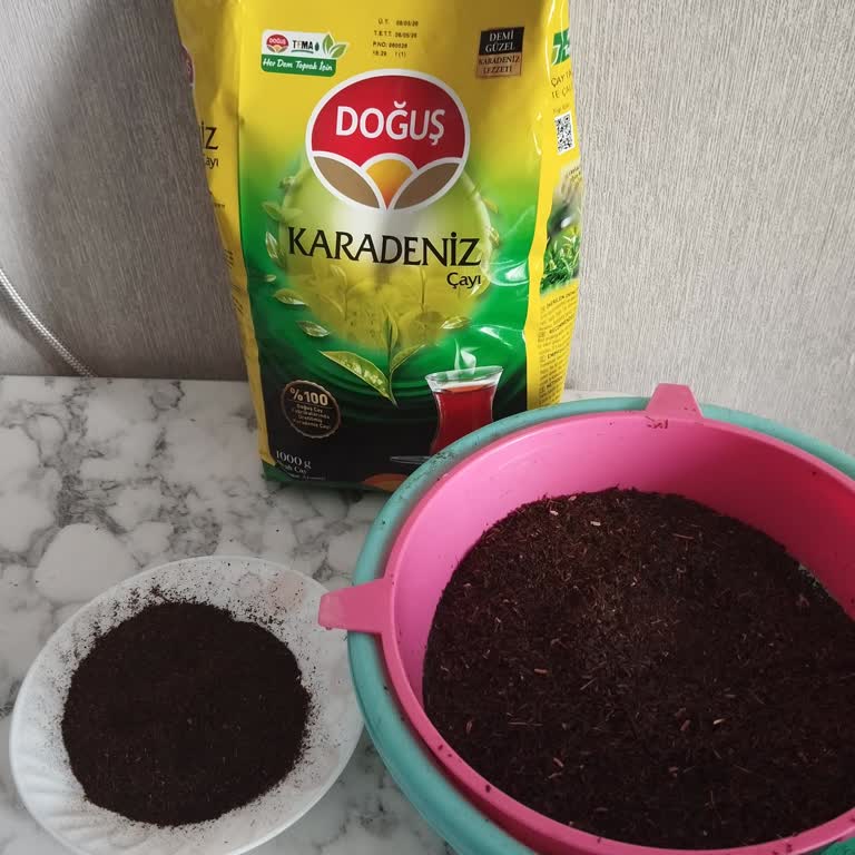 Doğuş Çay İçinde Ciddi Miktarda Çöp Ve İstenmeyen Parçacıklar Olması