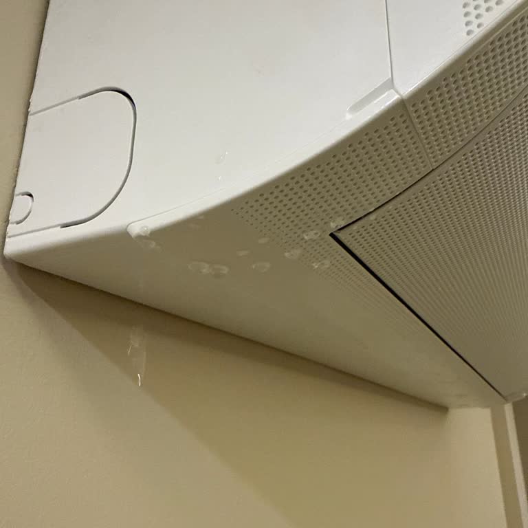 Samsung Klimada Su Sızdırması Ve Müşteri Hizmetlerinin Yanıtsızlığı