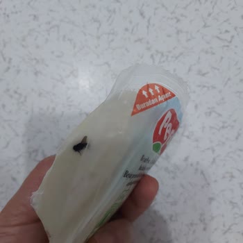 Peysan Beyaz Peyniri Paketi İçinde Böcek Keşfi