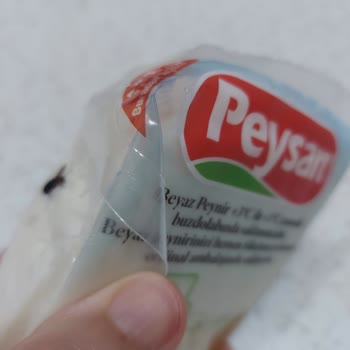 Peysan Beyaz Peyniri Paketi İçinde Böcek Keşfi