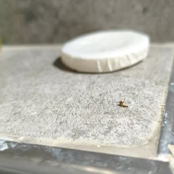 Bebekli Aileyi Aldattı; Hijyensiz Oda Ve Yanıltıcı Bilgiler