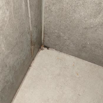 Bebekli Aileyi Aldattı; Hijyensiz Oda Ve Yanıltıcı Bilgiler