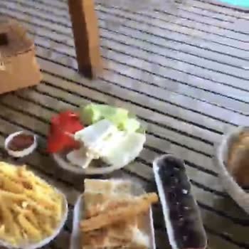 Boheme Bungalow Sapanca Konaklama Koşulları Ve Kahvaltı Hizmeti Açısından Hayal Kırıklığı Yaşadık