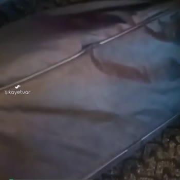 Öz Diyarbakır Seyahat Valizimin Peynir Suyu Dökülmesi Kötü Muamele
