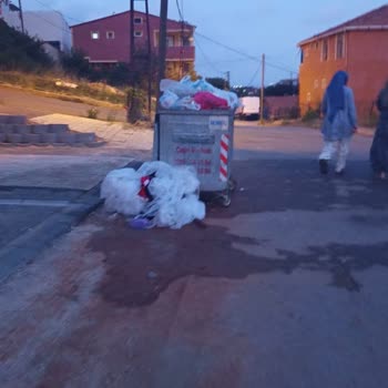 Balkonda Çöp Konteyneri Kokusu Ve Böcek Sorunu Çocuğumu Tehlikeye Atıyor