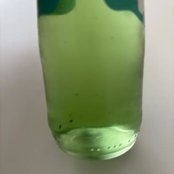 Avoya Elmalı Soda Şişesinde Yosunlaşma Ve Sağlık Riski