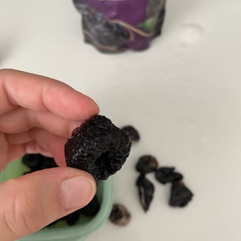 Hazarbey Kuru Erik'te Kıl Ve Bozulma, Bebek Sağlığı Endişesi