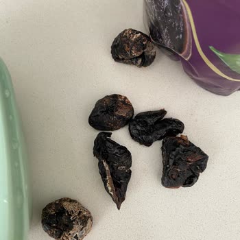 Hazarbey Kuru Erik'te Kıl Ve Bozulma, Bebek Sağlığı Endişesi