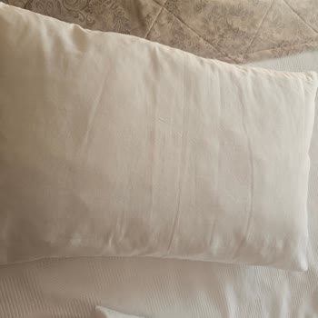 Balayı Otelinde Kırık Dolaplar, Çalışmayan Buzdolabı Ve Kirli Çarşaflar Nedeniyle İade Talebi