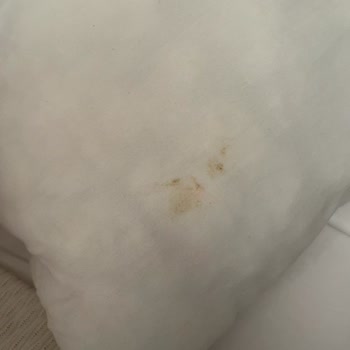 Hijyen Ve Güvenlik Sorunları Nedeniyle Konaklamamı İptal Etmek İstiyorum