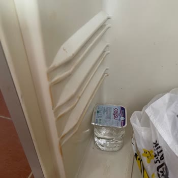 Hijyen Ve Güvenlik Sorunları Nedeniyle Konaklamamı İptal Etmek İstiyorum
