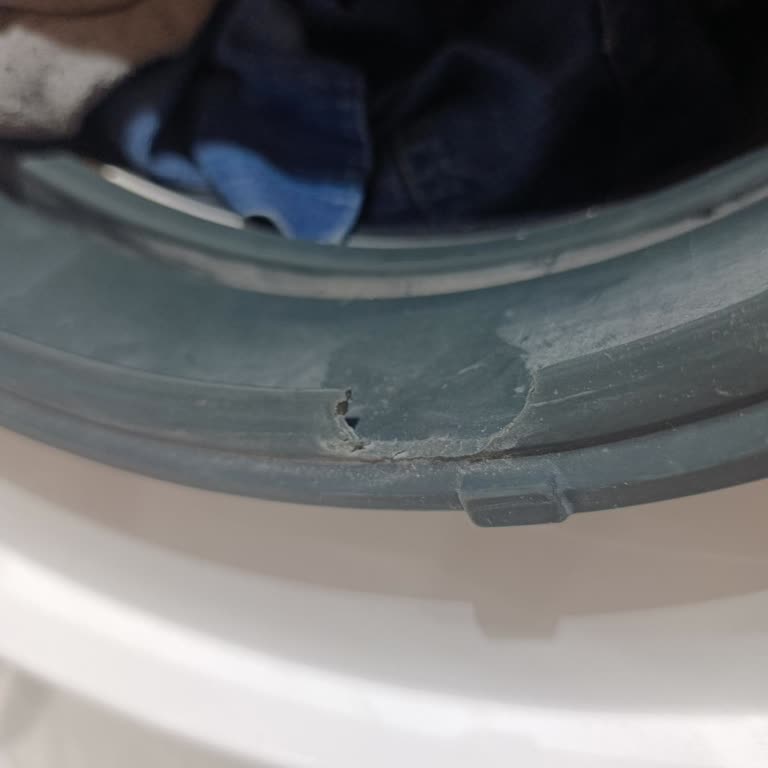 Kapak Körüğü Yırtılması Ve Su Kaçırması Nedeniyle Garanti Kapsamında Ücretsiz Değişim Talebi