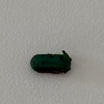 Bağdat Baharat Pul Biber Paketi İçinde Plastik Parça