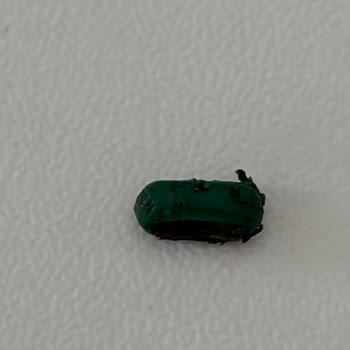 Bağdat Baharat Pul Biber Paketi İçinde Plastik Parça