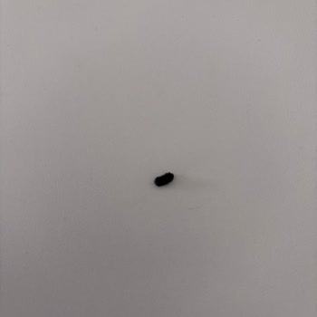 Bağdat Baharat Pul Biber Paketi İçinde Plastik Parça
