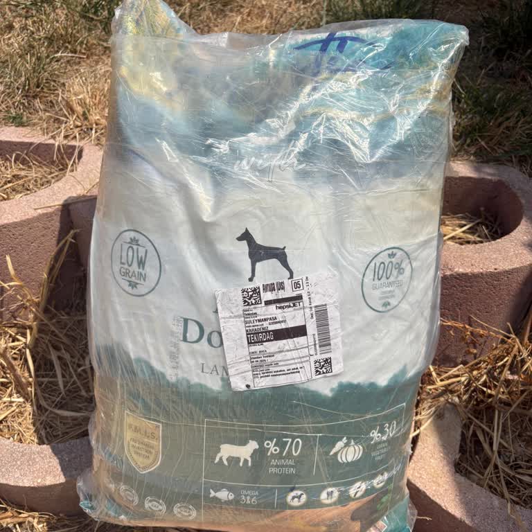 Yanlış Köpek Maması Gönderimi Ve İade Sürecinin İhmal Edilmesi