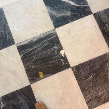 Sea Point Hotel Kuşadası Genel Temizliği Ve Hijyen Seviyesi Son Derece Kötüydü