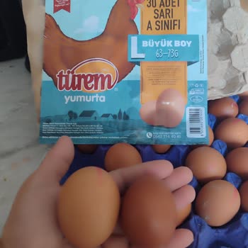 Türem Yumurta “Büyük Boy/l” Olarak Satılan Ürünler Aslında S–m Boyutlarındaydı
