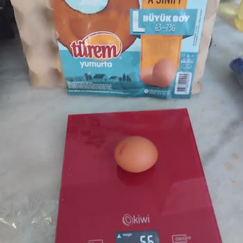 Türem Yumurta “Büyük Boy/l” Olarak Satılan Ürünler Aslında S–m Boyutlarındaydı