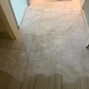 Hijyen Sorunları Ve Yanıltıcı Reklam