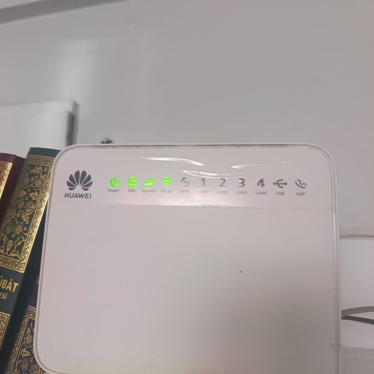 İnternet Bağlantısı Çalışmıyor, Hızlı Çözüm Bekliyorum