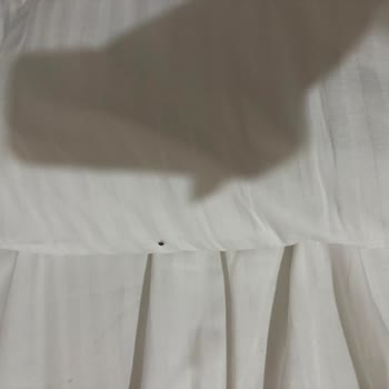Tahtakuruları Nedeniyle Konaklamada Hijyen İhlali