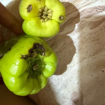Migros Hemen'de Bayat Ve Hijyenik Olmayan Gıda Ürünleri İçin Geri Dönüş Yok
