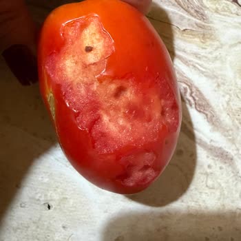 Migros Hemen'de Bayat Ve Hijyenik Olmayan Gıda Ürünleri İçin Geri Dönüş Yok