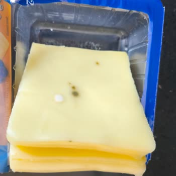Migros'tan Küflü Kaşar Peynir Teslimatı