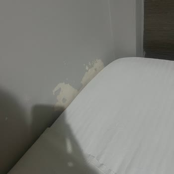 Oda Değişikliği Sonrası Düşük Kalite Ve Gürültülü Konaklama, Otel Ve Agoda Çözüm Sunmadı