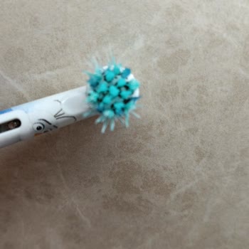 Oral‑B Pro Timer, Encuentro Moho en el Cabezal, Exijo Cambio