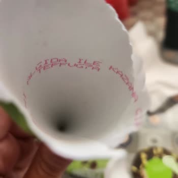 Cornetto Kampanya Şifreleri Geçersiz Ve Süresi Dolmuş