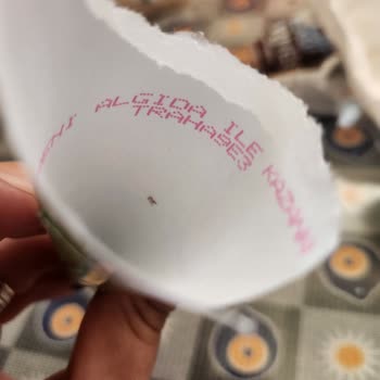 Cornetto Kampanya Şifreleri Geçersiz Ve Süresi Dolmuş