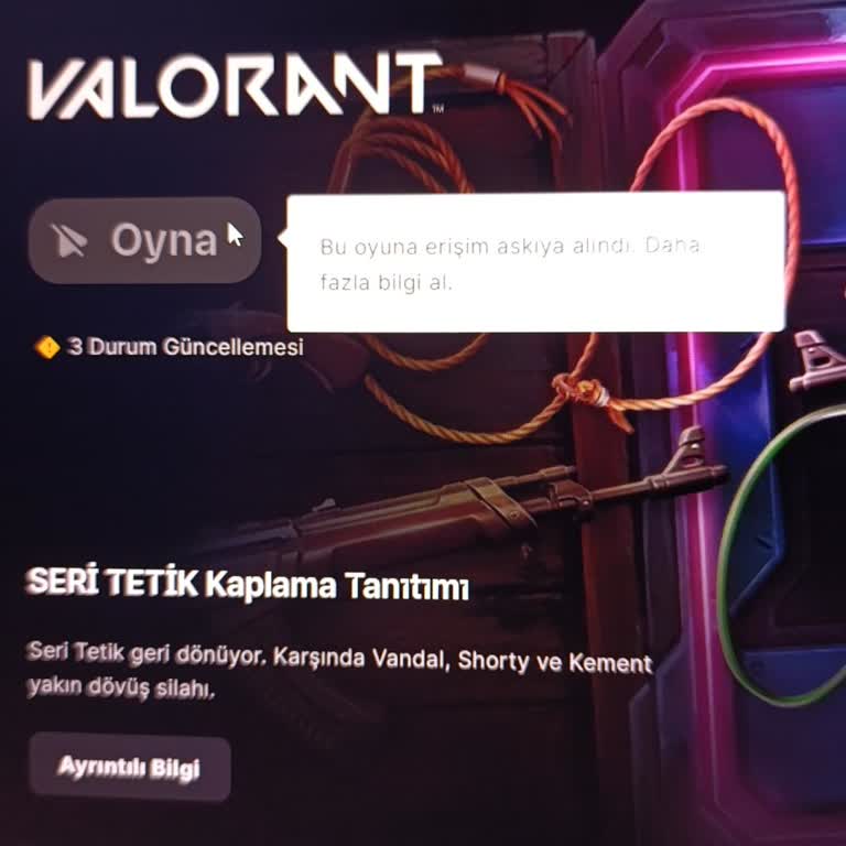 Ozygame.com'dan Aldığım Valorant Hesapları Temiz Değil Ve Müşteri Hizmetleri Cevapsız