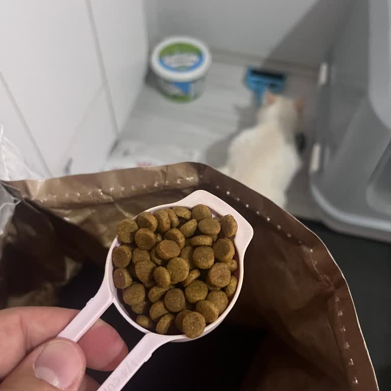Küçültülmüş Tanecik Boyutu Nedeniyle Royal Canin Sterilised Mama Reddi Ve Değişim Talebi
